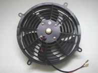 HD-80-019