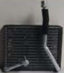 NSF-EA338