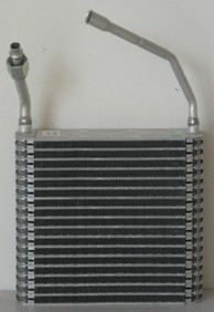 NSF-EA221