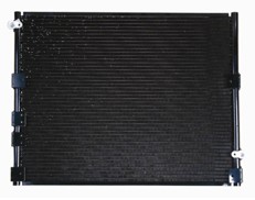 NSF01099