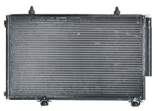 NSF01086